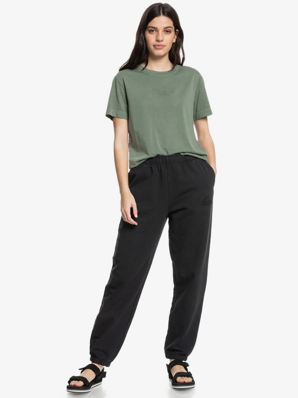 Quiksilver Womens - Organic T-Shirt for Women  EQWZT03025