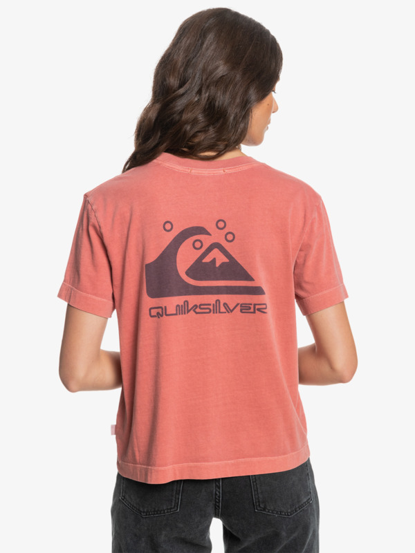 Quiksilver Womens - Organic T-Shirt for Women  EQWZT03025