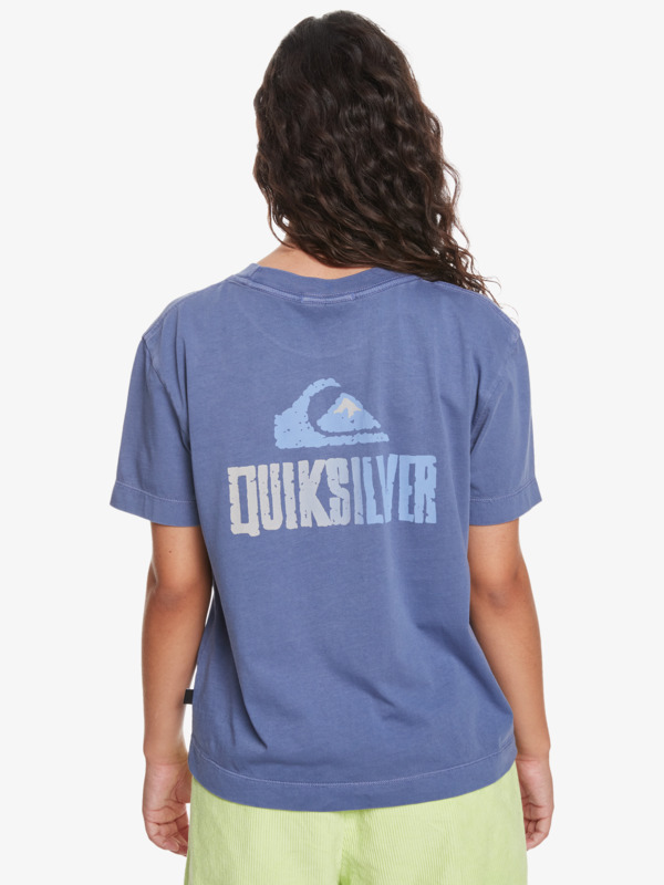 Quiksilver Womens - Organic T-Shirt for Women EQWZT03149
