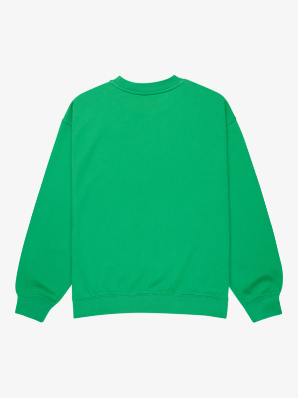 New Iconic - Sweatshirt for Men  EQYFT05206