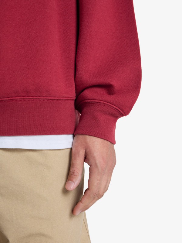 New Iconic - Sweatshirt for Men  EQYFT05206