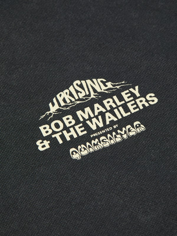 Bob Marley Concert  EQYFT05268