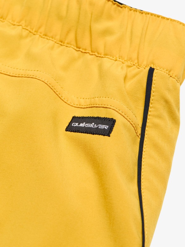 Highline Amphibian 17" - Amphibian Boardshorts for Men  EQYHY03892