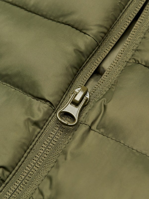 Scaly Hood  EQYJK04189