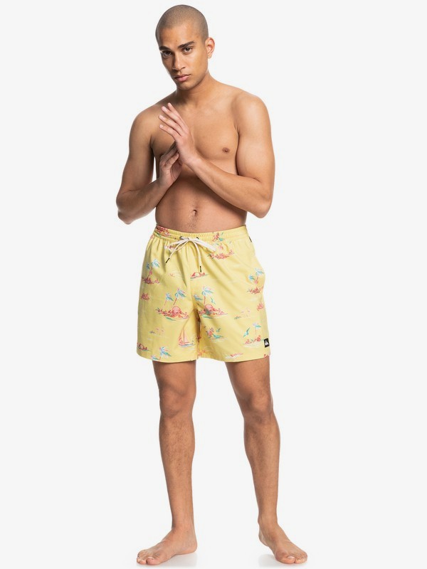 Island Breeze 17" - Swim Shorts for Men  EQYJV03809