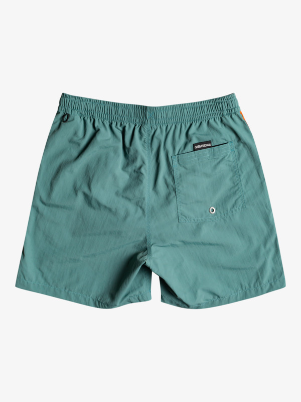 Ocean Beach Please 16" - Swim Shorts for Men  EQYJV03851