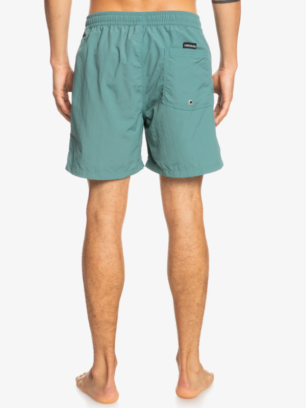 Ocean Beach Please 16" - Swim Shorts for Men  EQYJV03851