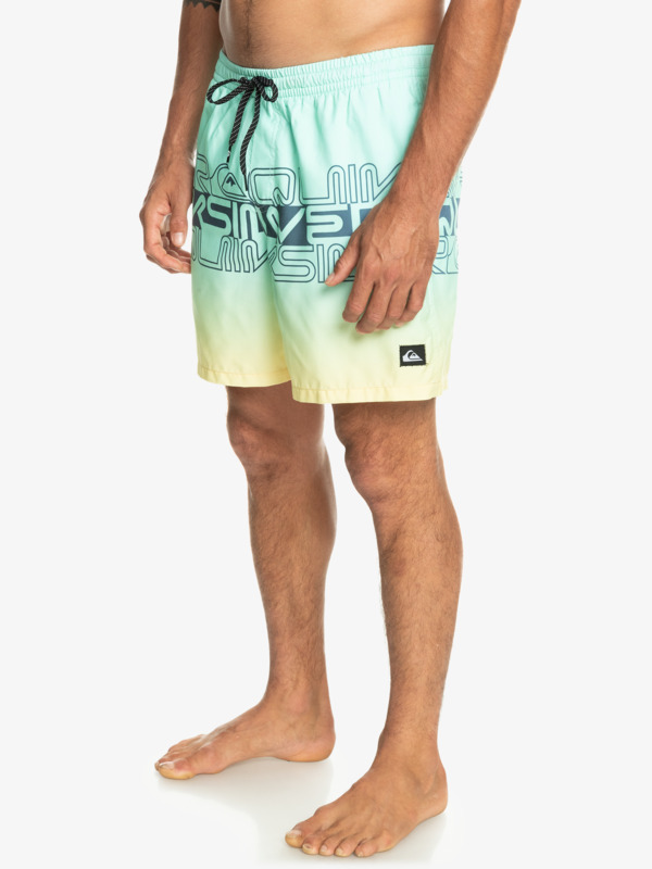 Everyday Wordblock 17" - Swim Shorts for Men  EQYJV04005