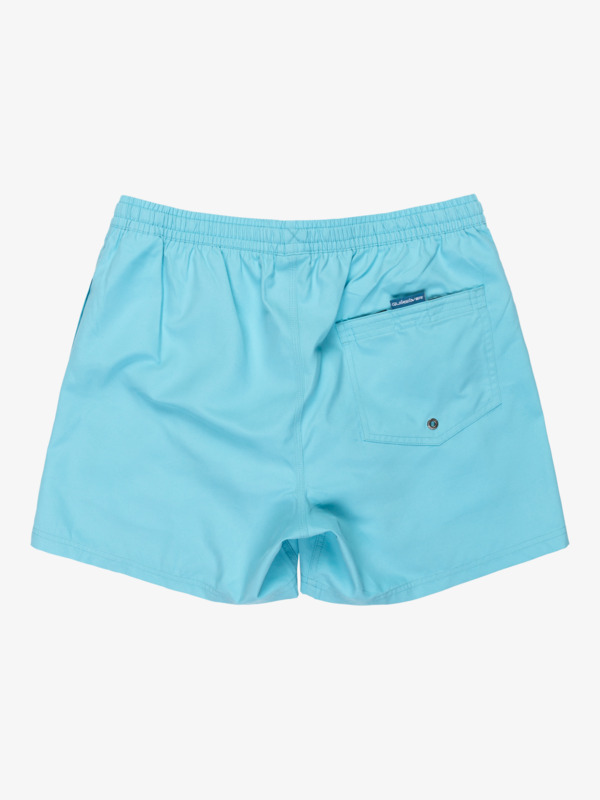 Everyday Solid Volley 15" - Board Shorts for Men  EQYJV04120
