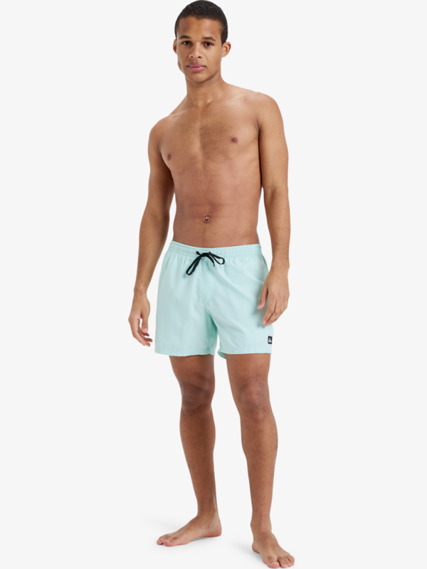 Everyday Solid Volley 15" - Board Shorts for Men  EQYJV04120