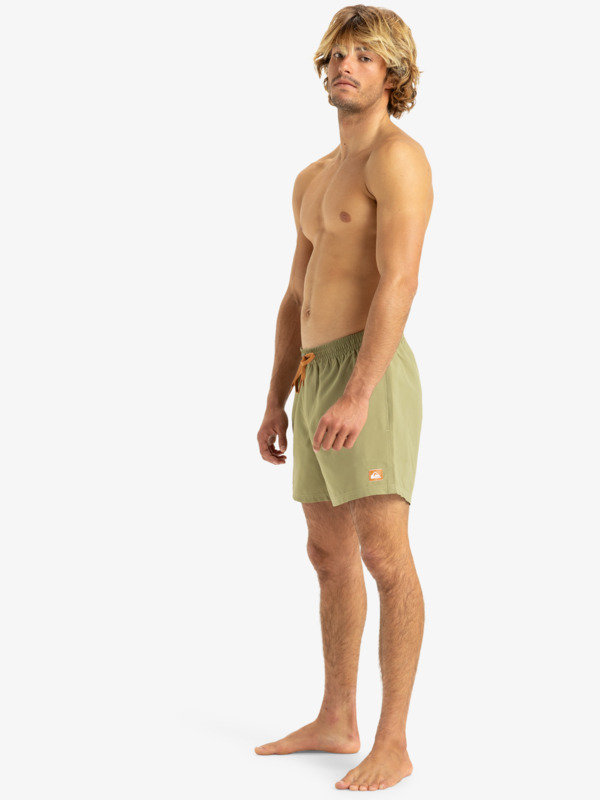 Everyday Solid Volley 15" - Board Shorts for Men  EQYJV04120