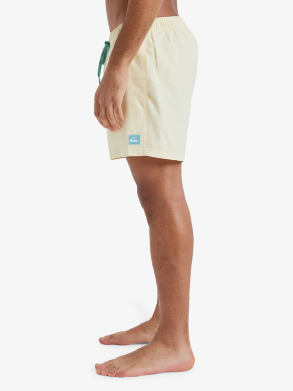 Everyday Solid Volley 15" - Board Shorts for Men  EQYJV04120