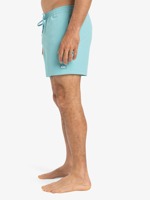 Everyday Flex Volley 15" - Board Shorts for Men  EQYJV04127