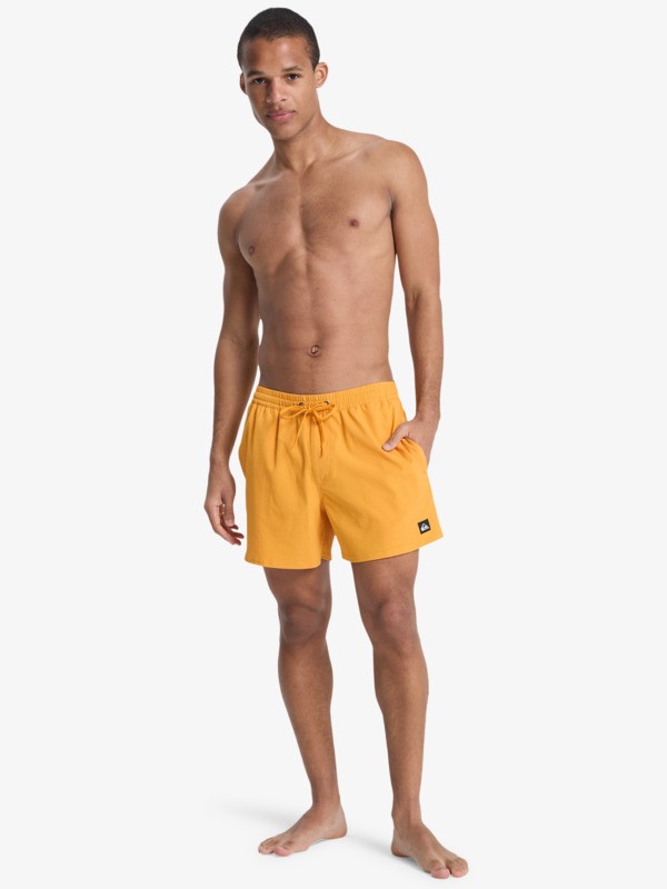 Everyday Flex Volley 15" - Swim Shorts for Men  EQYJV04127