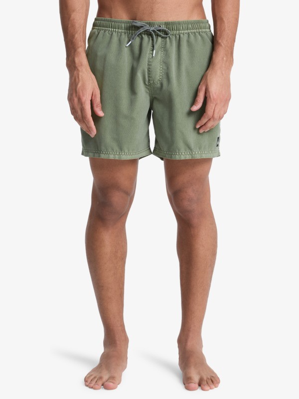 quiksilver, Everyday Surfwash Volley 15" - Bermuda da bagno da Uomo, GRAPE LEAF (cre0) Everyday Surfwash Volley 15" - Swim Shorts for Men  EQYJV04155