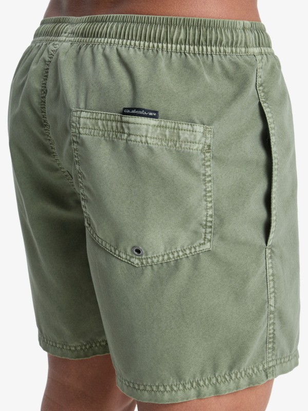 quiksilver, Everyday Surfwash Volley 15" - Bermuda da bagno da Uomo, GRAPE LEAF (cre0) Everyday Surfwash Volley 15" - Swim Shorts for Men  EQYJV04155