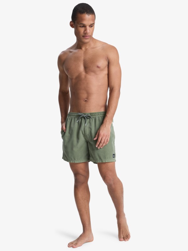 quiksilver, Everyday Surfwash Volley 15" - Bermuda da bagno da Uomo, GRAPE LEAF (cre0) Everyday Surfwash Volley 15" - Swim Shorts for Men  EQYJV04155