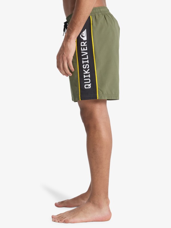 Everyday Clicker Volley 17" - Swim Shorts for Men  EQYJV04203