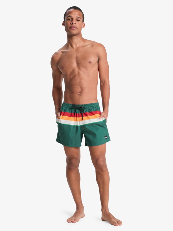 Everyday Printed Volley 15" - Swim Shorts for Men  EQYJV04219