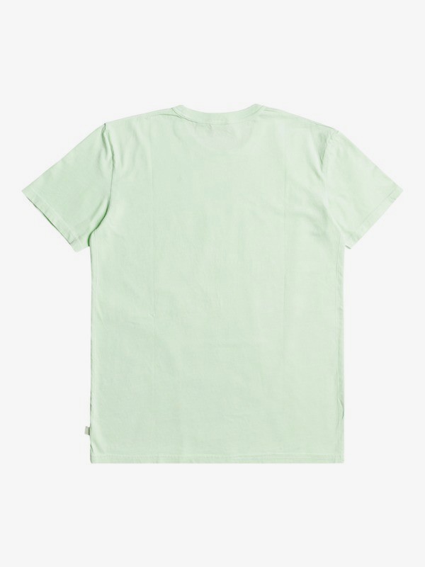Mineral - Organic T-Shirt for Men EQYKT04133