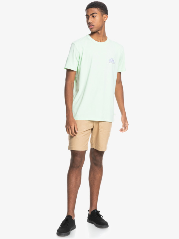 Mineral - Organic T-Shirt for Men  EQYKT04133