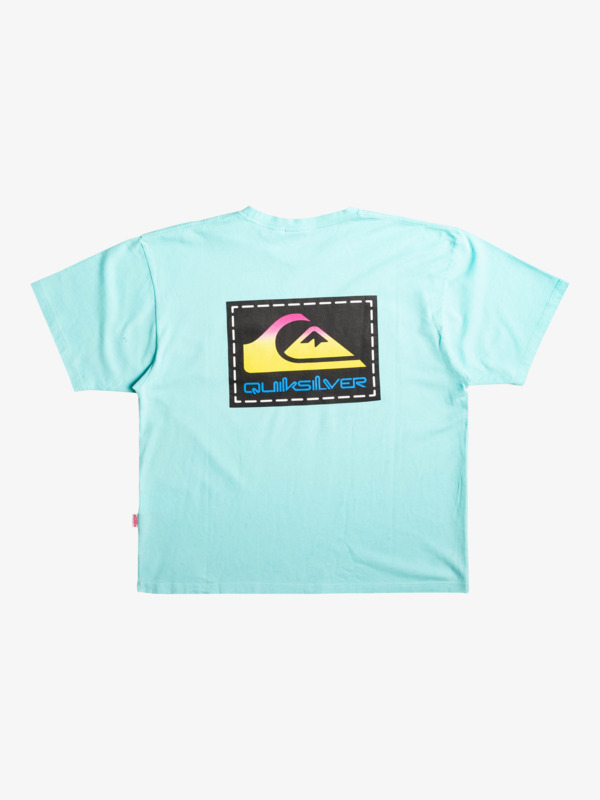 Quiksilver x Stranger Things Rainbow - T-Shirt for Men  EQYKT04256