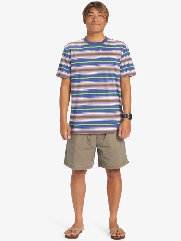 Geller Stripe - T-Shirt for Men  EQYKT04286