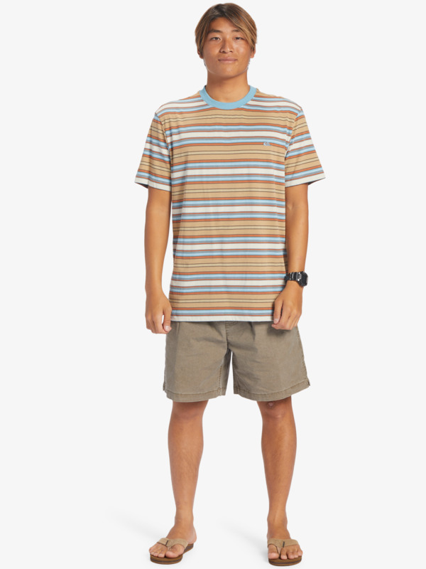 Geller Stripe - T-Shirt for Men  EQYKT04286