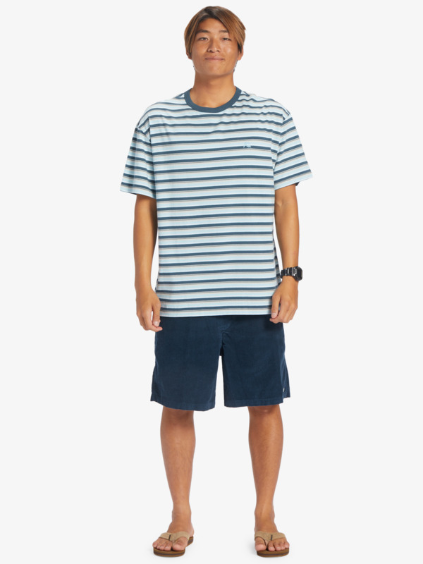 Joey Stripe - T-Shirt for Men  EQYKT04287