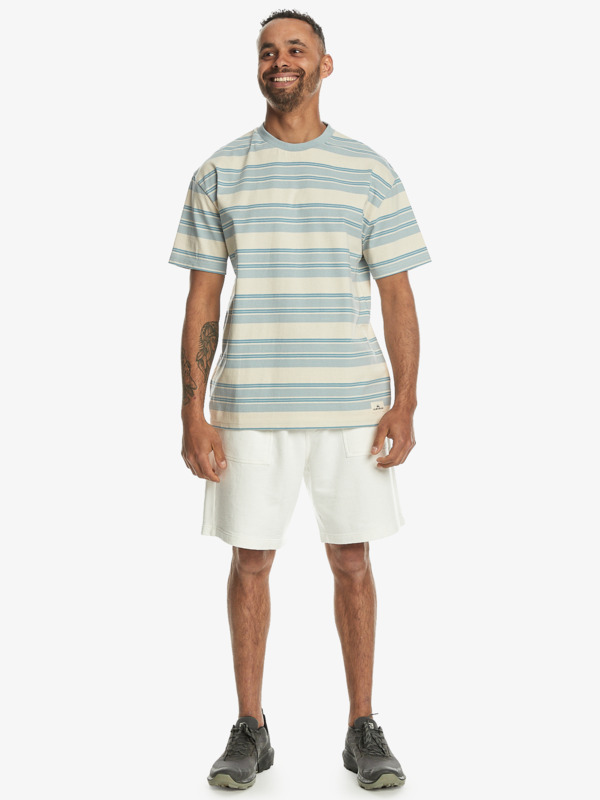 Eco Yd Stripe - Men's Blue Short Sleeve T-Shirt | Quiksilver
