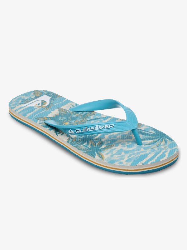 Molokai Art - Flip-Flops for Men  EQYL100082