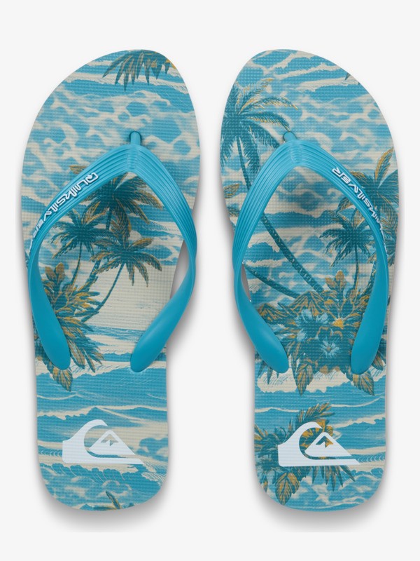 Molokai Art - Flip-Flops for Men  EQYL100082