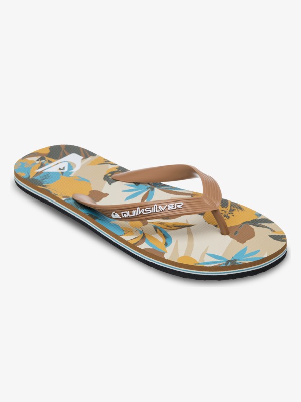 Molokai Art - Flip-Flops for Men  EQYL100082