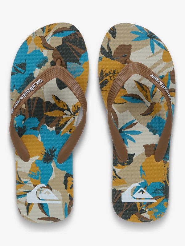 Molokai Art - Flip-Flops for Men  EQYL100082