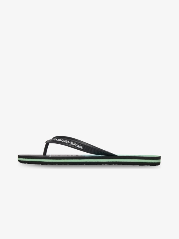 Molokai Stripe  EQYL100083