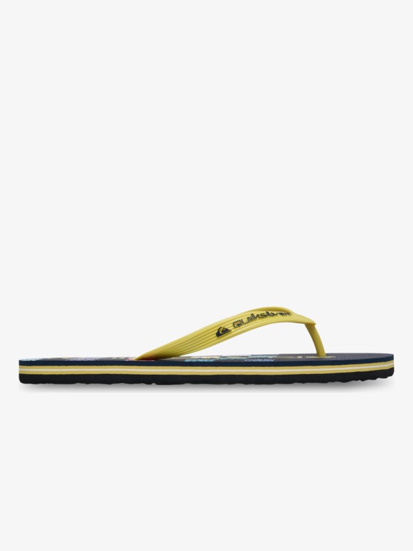 Molokai Stripe - Flip-Flops for Men  EQYL100083
