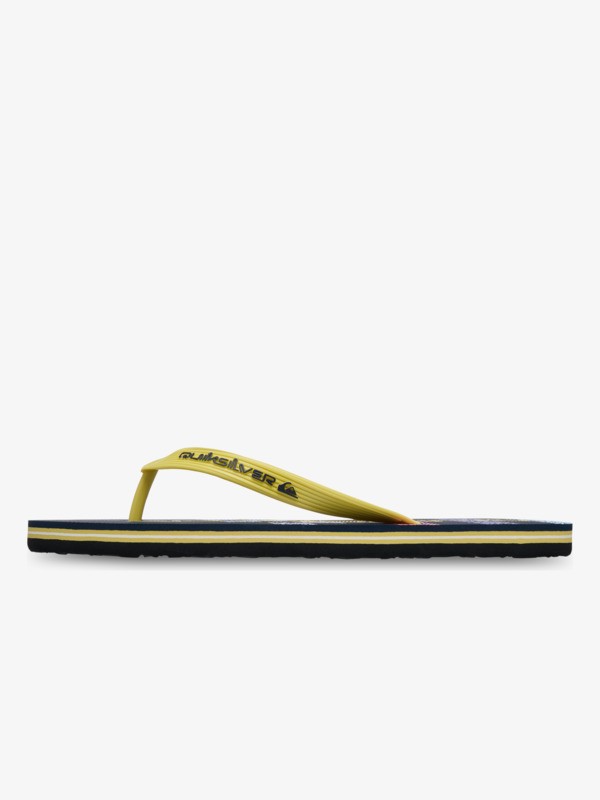 Molokai Stripe - Flip-Flops for Men  EQYL100083