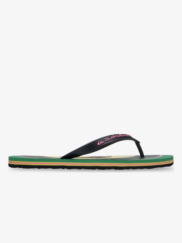 Molokai Screen - Flip-Flops for Men  EQYL100091