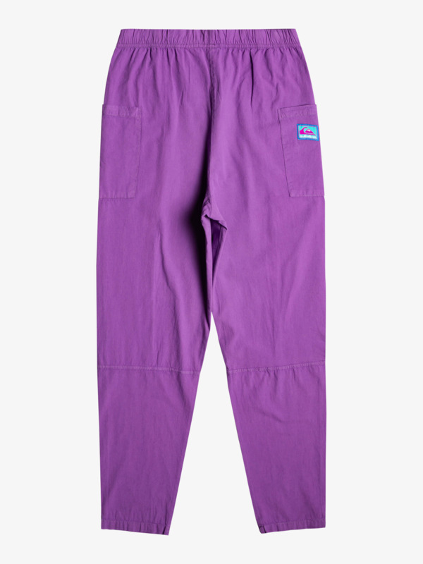 Quiksilver x Stranger Things The Argyle - Trousers for Men  EQYNP03267