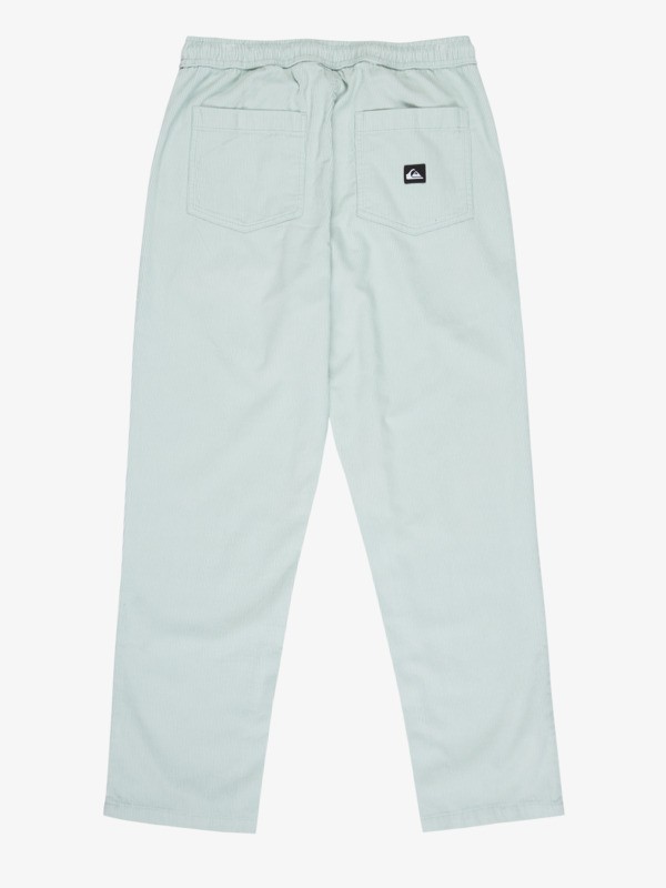 Taxer Regular Cord - Trousers for Men  EQYNP03315