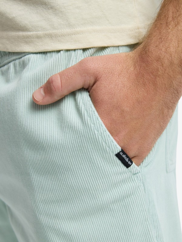 Taxer Regular Cord - Trousers for Men  EQYNP03315