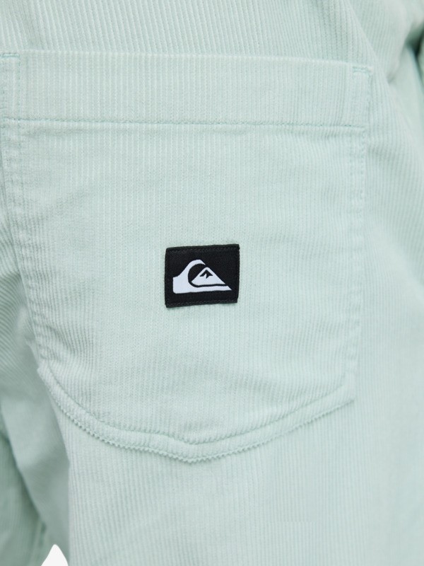 Taxer Regular Cord - Trousers for Men  EQYNP03315