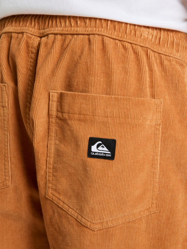 Taxer Regular Cord - Trousers for Men  EQYNP03315
