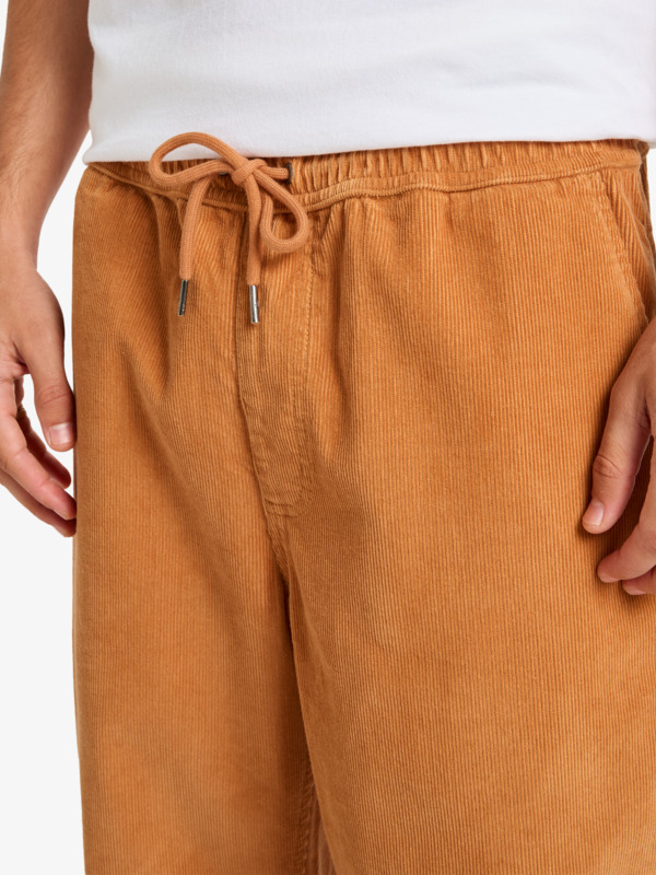 Taxer Regular Cord - Trousers for Men  EQYNP03315
