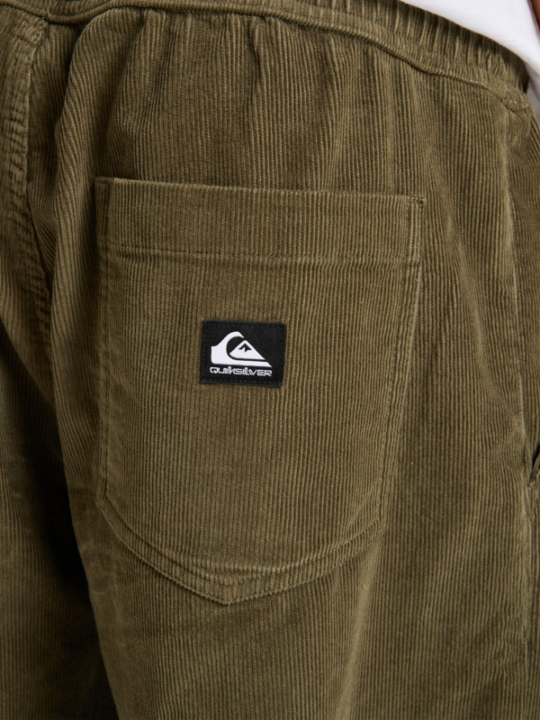 Taxer Regular Cord - Trousers for Men  EQYNP03315