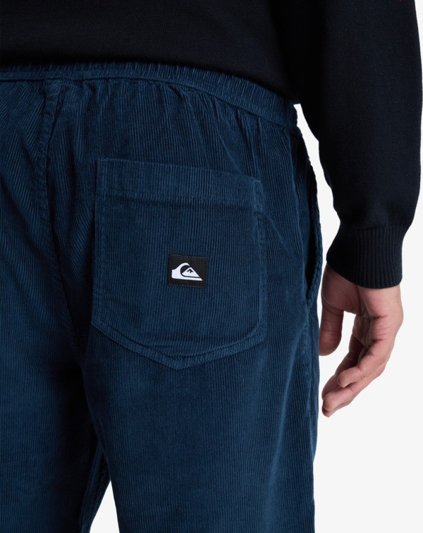 Taxer Regular Cord - Trousers for Men  EQYNP03315