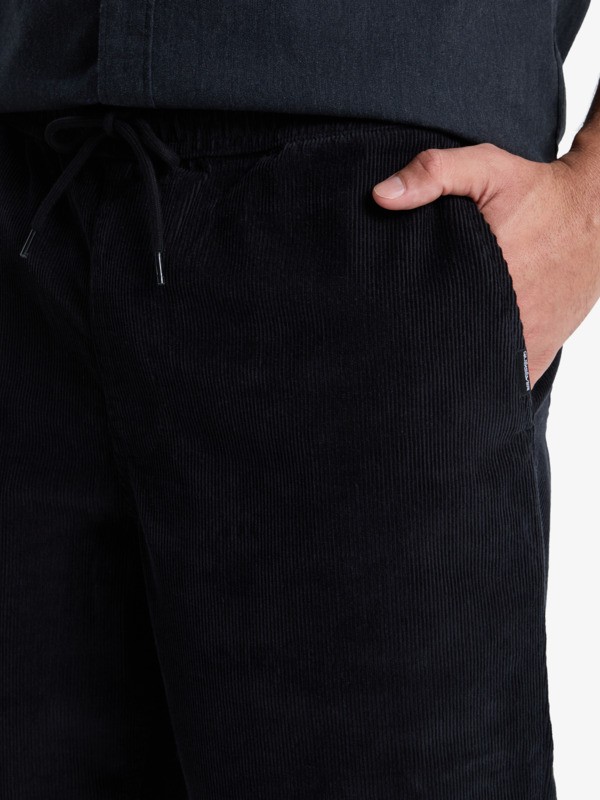 Taxer Regular Cord - Trousers for Men  EQYNP03315