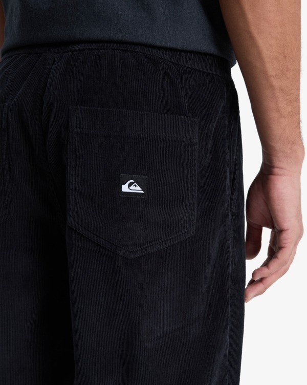 Taxer Regular Cord - Trousers for Men  EQYNP03315
