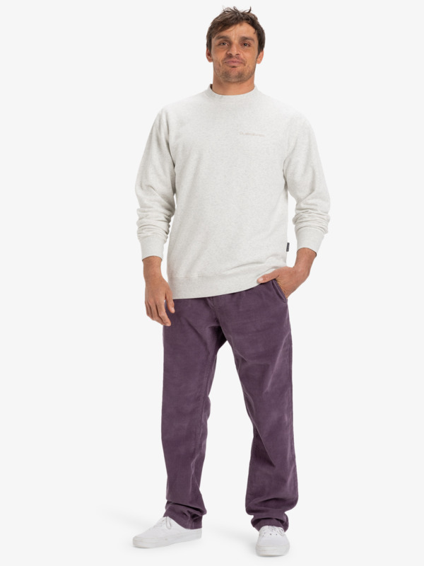 Taxer Regular Cord - Trousers for Men  EQYNP03315