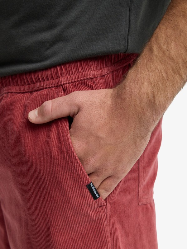 Taxer Regular Cord - Trousers for Men  EQYNP03315